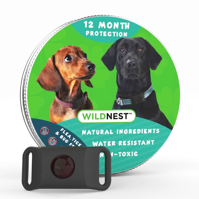 12 Months All Natural Flea and Tick Tags for Dogs