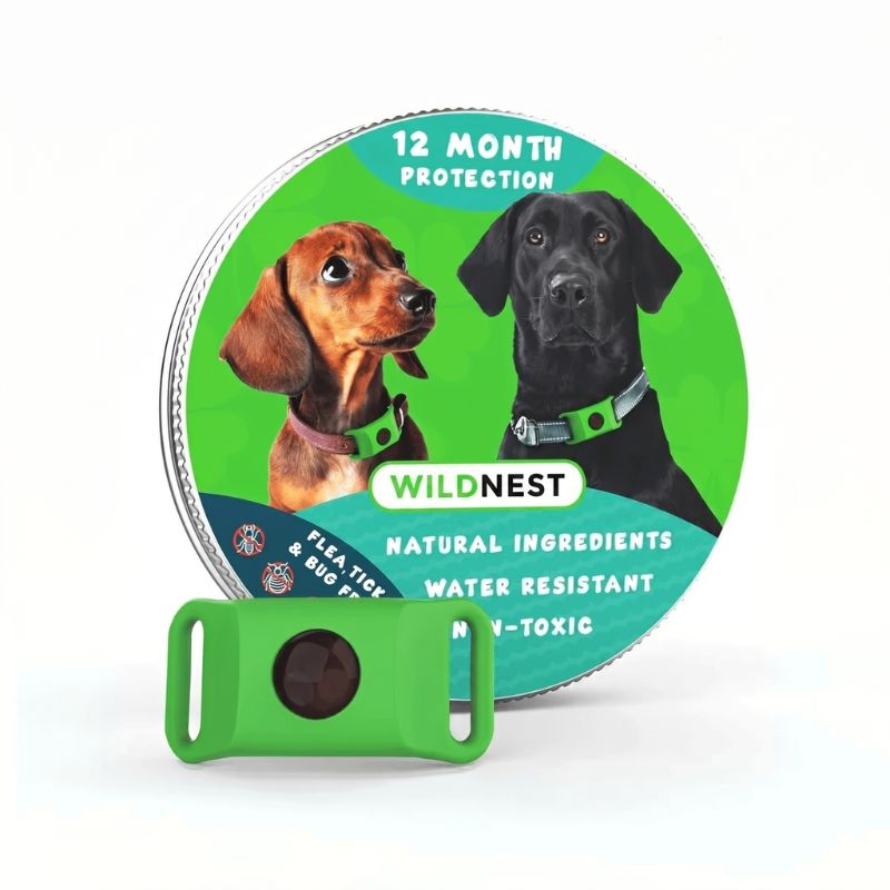 12 Months All Natural Flea and Tick Tags for Dogs
